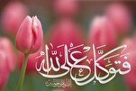 عبرة توكّل الأنبياء (ع) في سورة هود