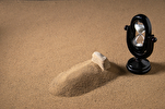 Is Life After Death Possible?
