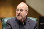 Iran to Keep Supporting Resistance: Parliament Speaker