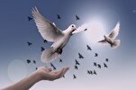 Quran, Prophet Teachings Signify Islam’s Emphasis on Peace