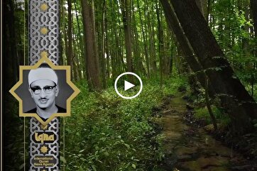 Heavenly Recitations: Minshawi Recites Verses from Surah Al-Hashr