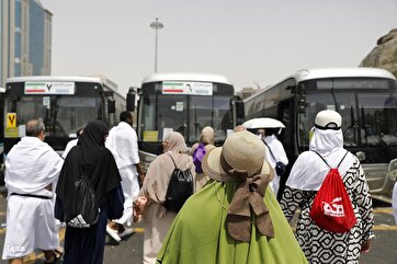 Photo Gallery: Buses Transport Pilgrims in Mecca