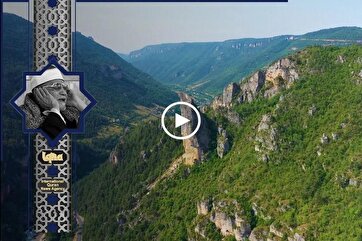 Heavenly Recitations: Shuaisha’s Moving Recitation of Verse About Quran
