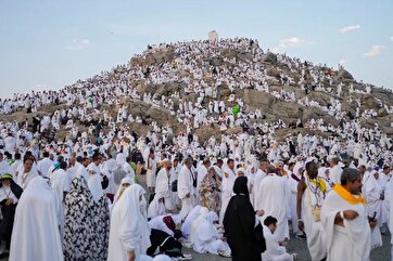 Hajj 2024 in Pictures: Millions Converge on Mount Arafat
