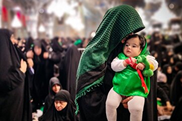 Photo Gallery: Husseini Infants Ceremony at Imam Reza Shrine