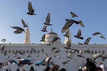 Pilgrims Visit Medina’s Historic Sites after Hajj