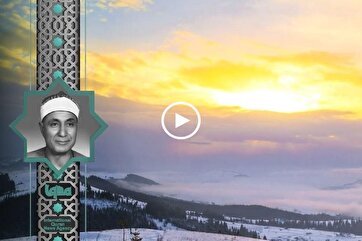 Heavenly Recitation: Hashem Heiba Recites Verse from Surah Al-Hujurat