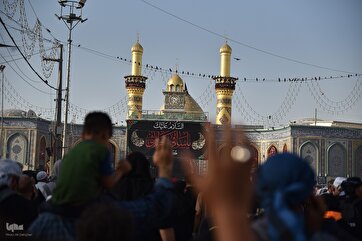 Pilgrims from Around World Flocking to Karbala for Arbaeen  