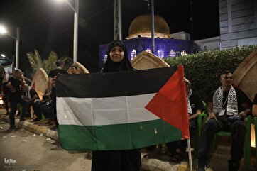 In Pictures: Palestinian Cause Remembered in Arbaeen 2024