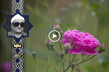 Heavenly Recitations: Verses from Surah Al-Insan by Abdul Aziz Hassan