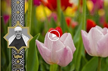 Heavenly Recitation: Surah Al-Hashr by Metwaly Abdel Aal