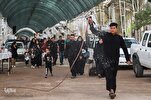 Arbaeen: No Specific Infectious Diseases Reported, Official Says