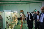 Finnish Ambassador Shares Experience Wearing Hijab at Imam Hussein Shrine