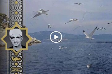 Heavenly Recitations: Minshawi Recites from Surah Qaf