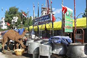 اسکان ۲۶ هزار زائر در موکب استان البرز در نجف