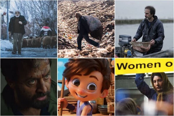 جشنواره فیلم فجر