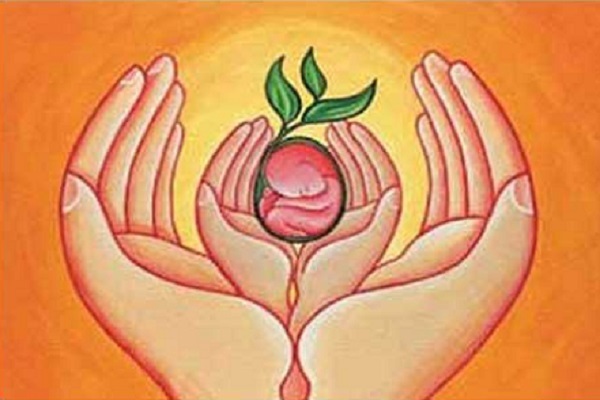 احکام فقهی و حقوقی رحم جایگزین