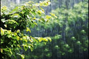 باران رحمت در آینه نیایش؛ مروری بر دعاهای امام سجاد(ع) و امام رضا(ع)