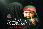 مراسم شیرخوارگان حسینی فردا در ۴۶ کشور جهان برگزار می‌شود