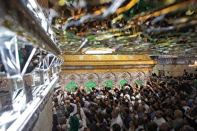 استوری‌موشن | دلِ بی‌قرار