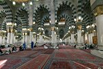 Des cercles coraniques quotidiens à la mosquée du Prophète