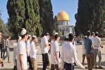 La mosquée Al-Aqsa envahie par les colons sionistes