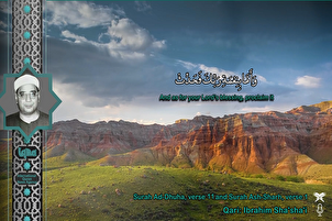 Karatun Sha'sha'i na Surorin Dhuha da Sharh