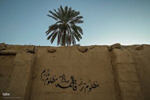 An gudanar da bukukuwan tunawa da 'Blue Jasmine' a Kudancin Iran Mark Hazrat Zahra Anniversary
