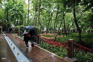 Hotuna masu ban sha'awa: Lambun Tulip na Tehran yana karbar dubban masu yawon bude ido