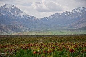 Kyakkyawan dajin Koohrang  a yammacin Iran