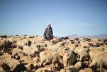 An hana yankan layya a a kasar Maroko