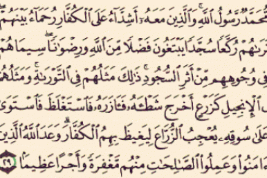 Curiosita’:quale versetto del Corano contiene tutte le lettere dell’alfabeto arabo?