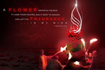Condoglianze per anniversario del martirio di Fatima al Zahra(SA)