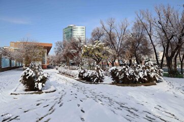 Cidade do noroeste do Irã coberta de branco pela neve do outono