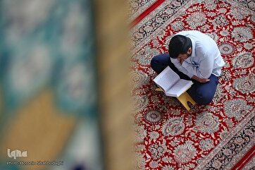 Todos os dias com o Alcorão: Recitação Tarteel de Juz 11