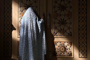 Galeria de fotos: interação cativante de luz e sombra no Santuário Imam Reza(a.s)