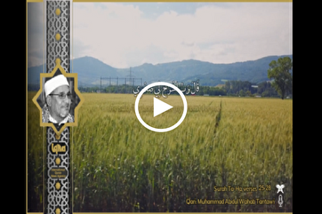 Recitação Celestial: Versos da Surah Ta-Ha de Sheikh Tantawi