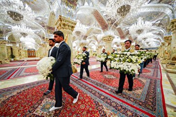 Galeria de Fotos: Santuário do Imam Ali(a.s) Decorado com Flores Antes de 13 de Rajab