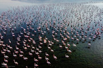 Em Imagens: O Pitoresco Lago Maharloo no Sudoeste do Irã