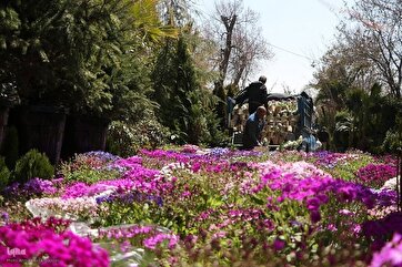 Mercado de Flores de Shiraz Às Vésperas do Nowruz