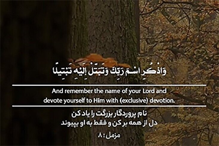 Дилро аз ҳама баркан