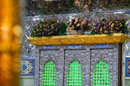 Hz Peygamber’in doğum yıldönümü vesilesiyle İmameyni Askereyn Türbesi güllerle süslendi