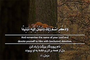 باقی سب سے ناطہ توڑ لے